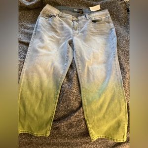 DG2 Dianne Gilman Blue Jeans skinny leg ombré 16PW